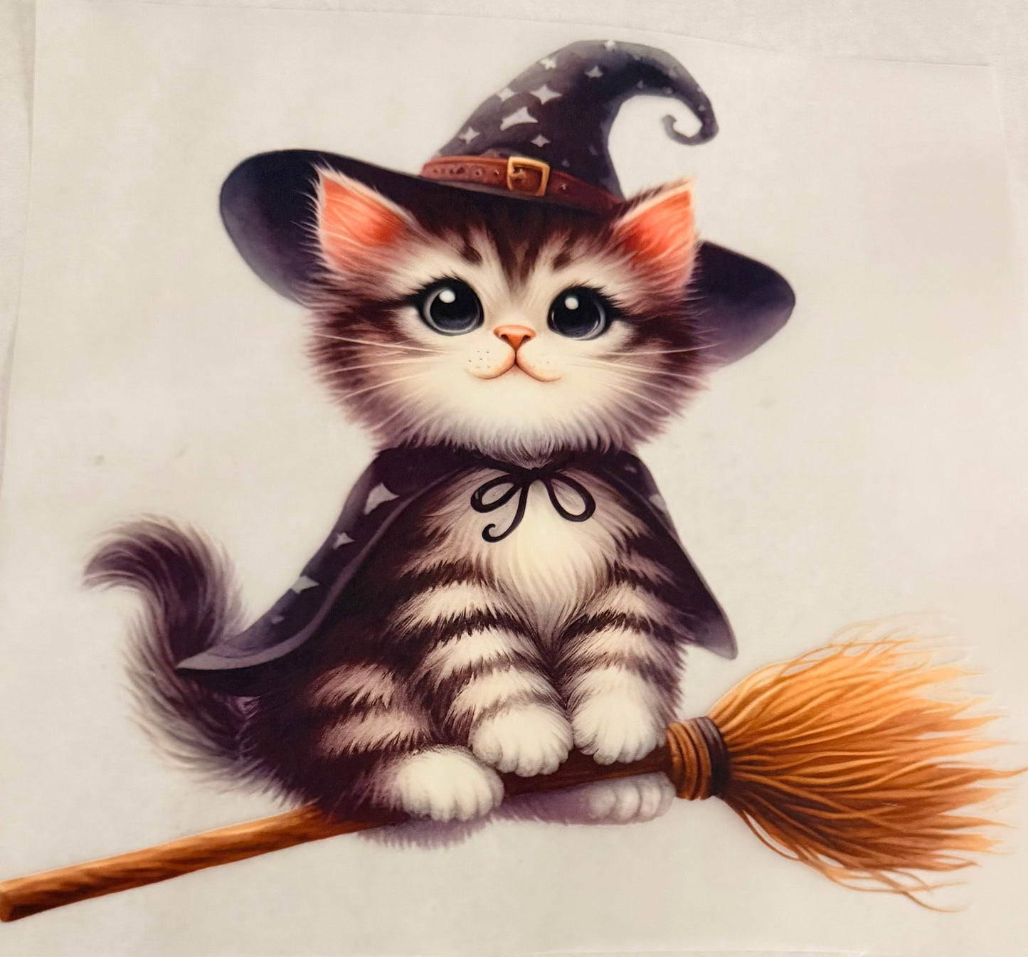 Witch cat