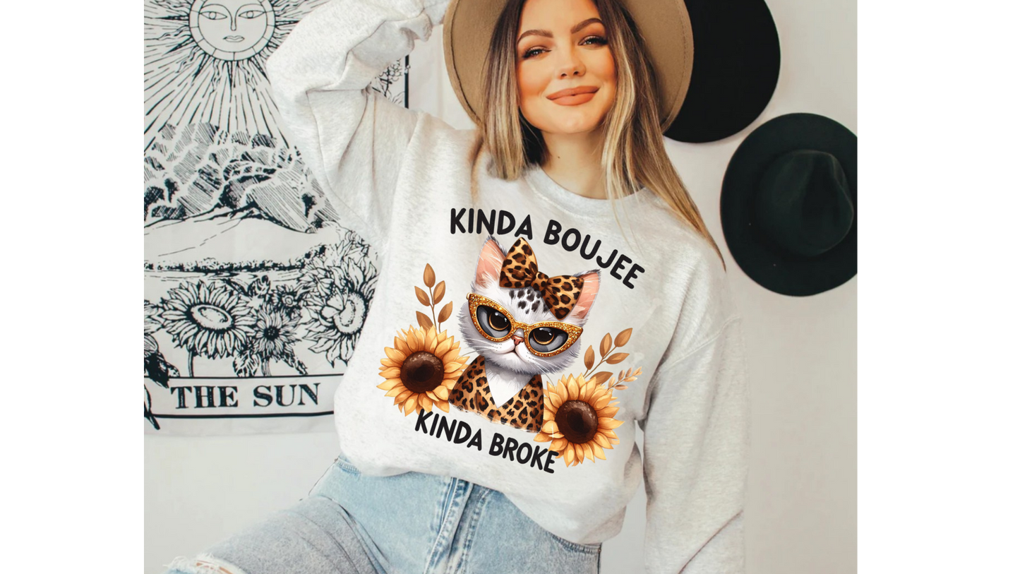 KINDA BOUJEE KINDA BROKE CAT