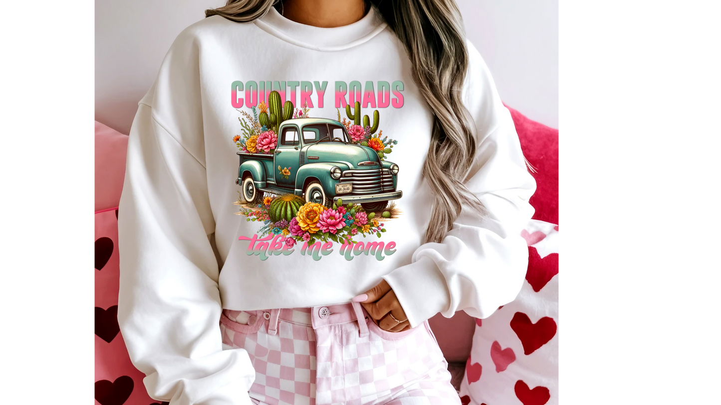 COUNTRY ROADS TAKE ME HOME