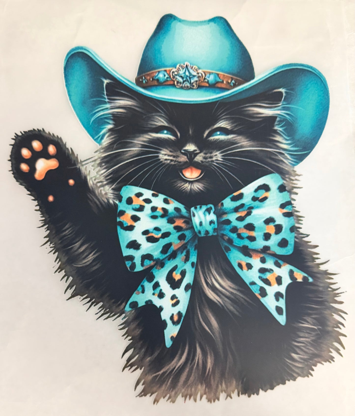 Cowboy cat