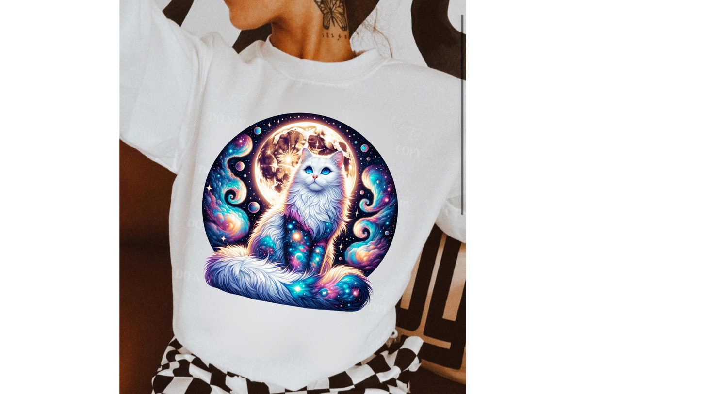GALAXY CAT