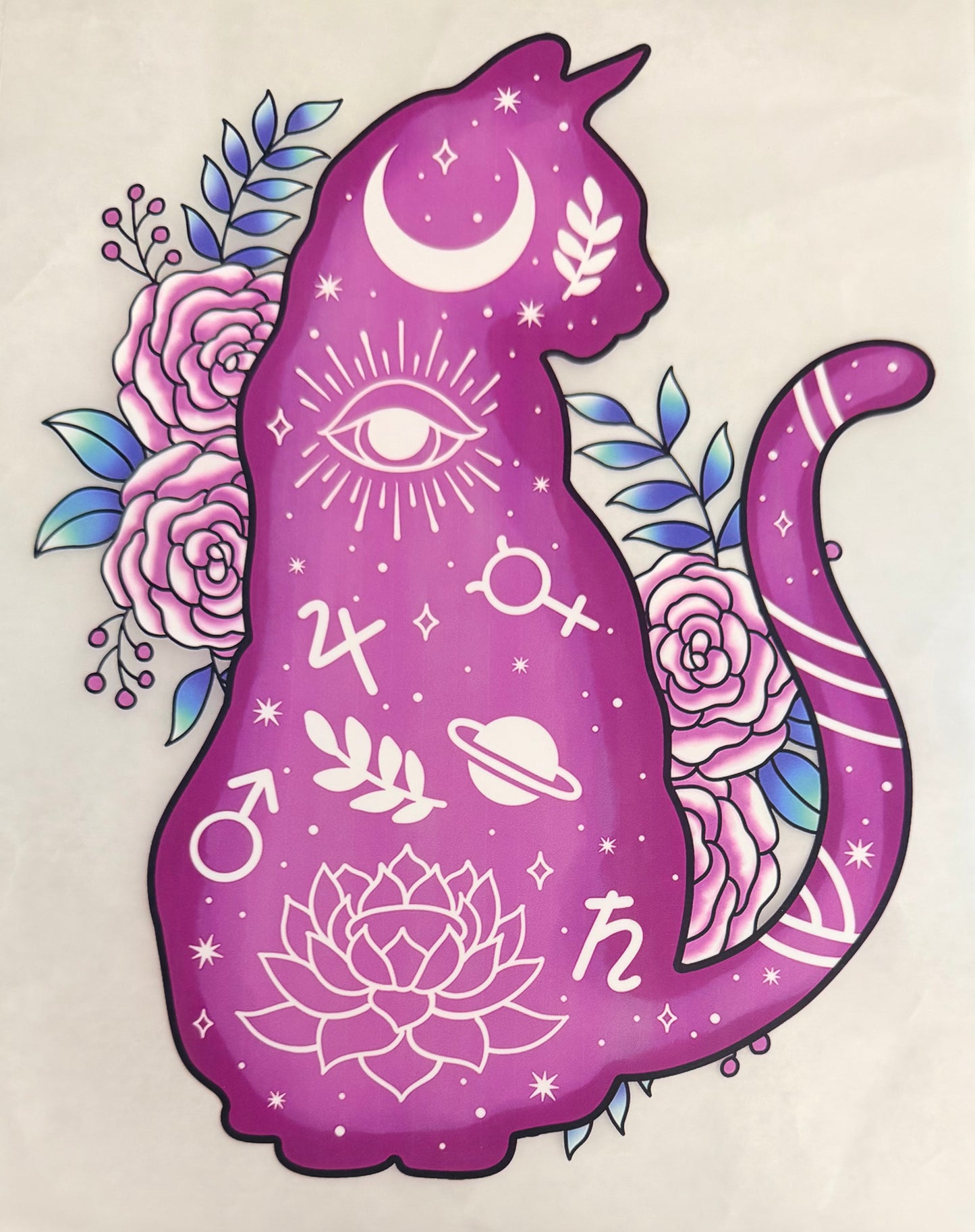 Mystic cat