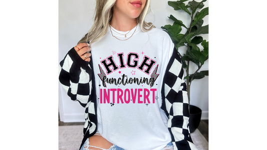 HIGH FUNCTIONING INTROVERT