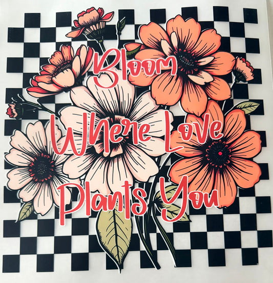 Bloom where love plants you