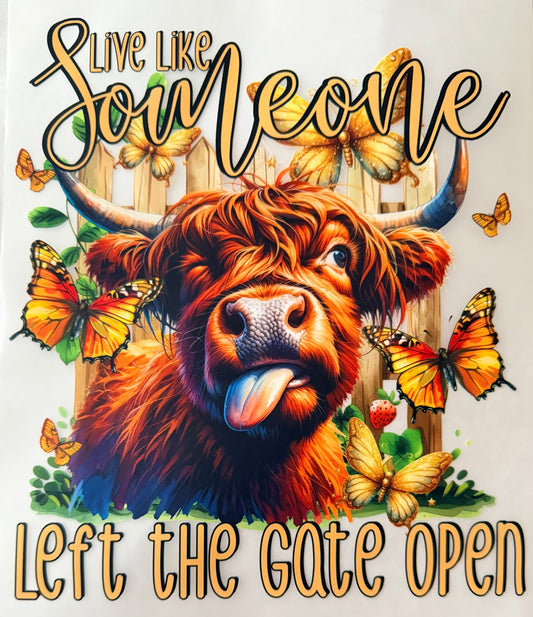 Left the gate open