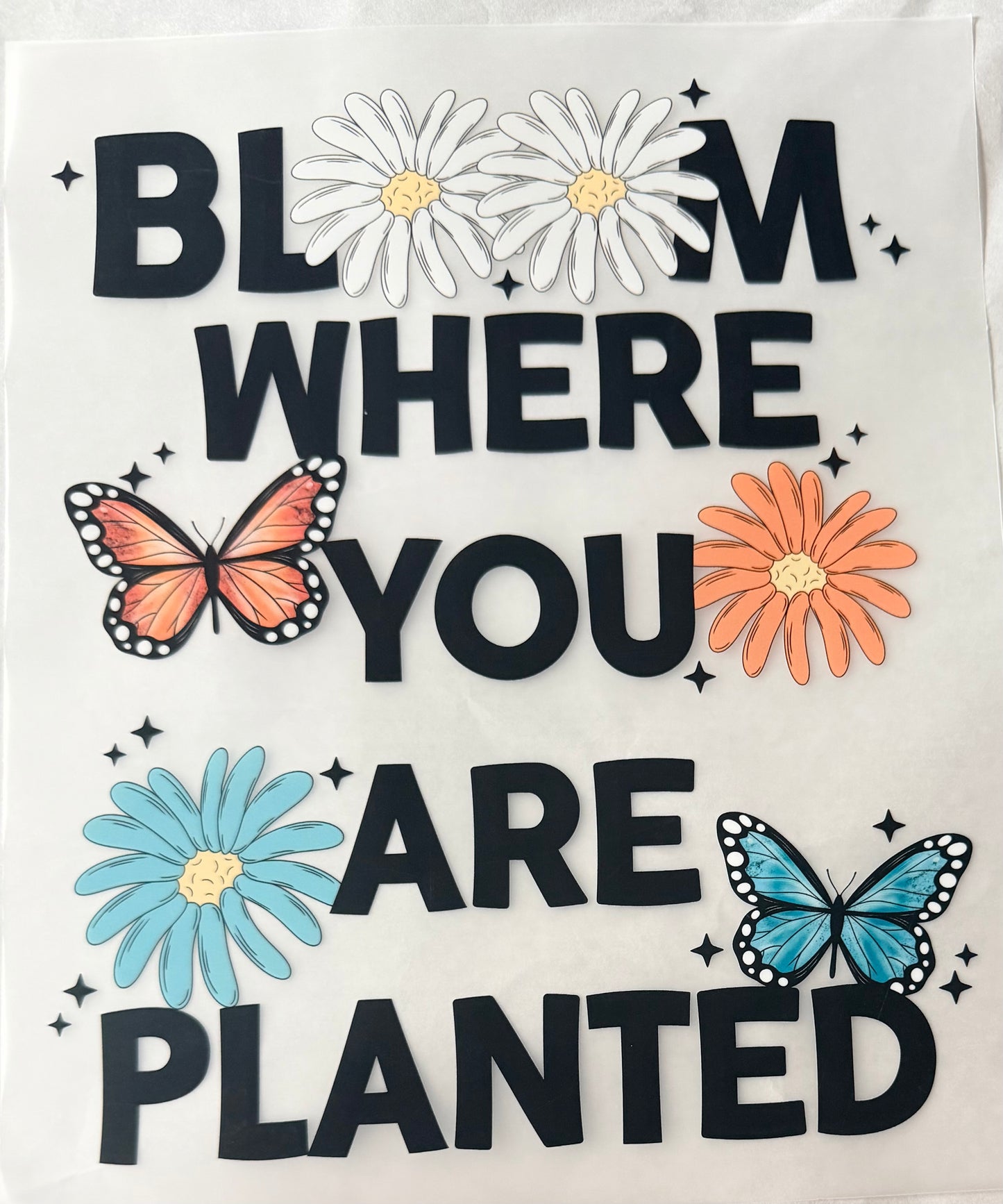 Bloom where you are planted