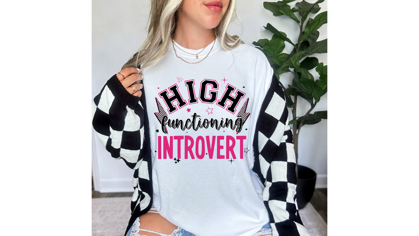 HIGH FUNCTIONING INTROVERT