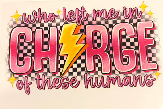 Put me in charge