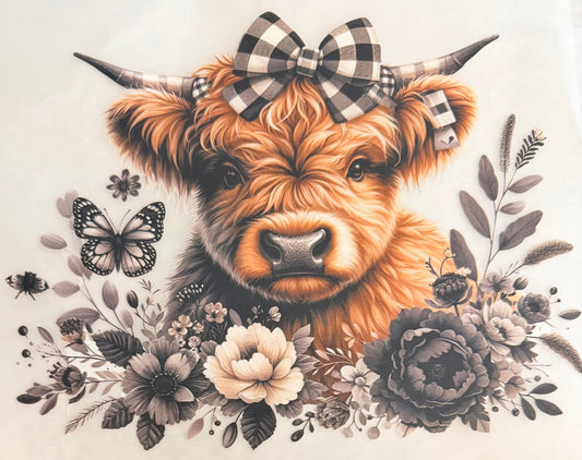 Black white cow