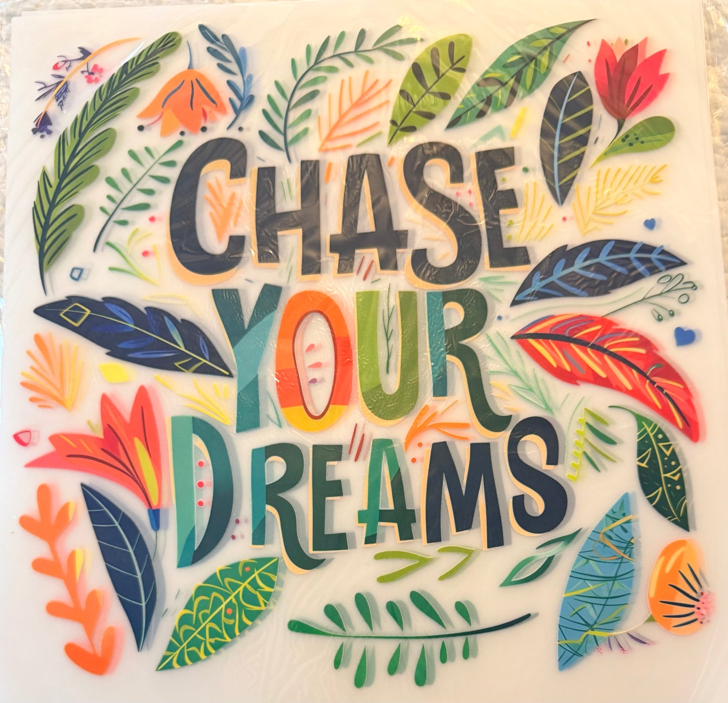 Chase your dreams