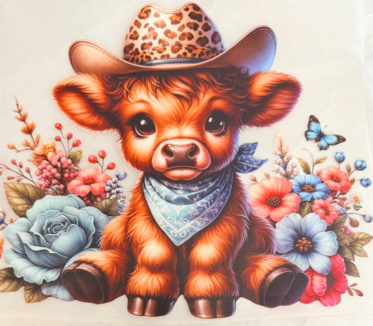 Leopard cowboy cow
