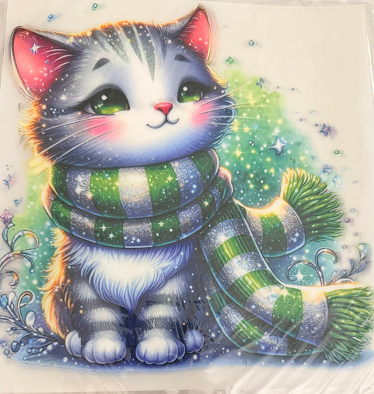 Slytherin cat