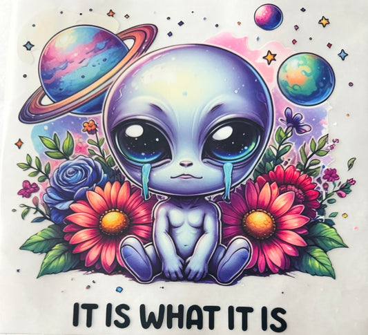 It is what it is