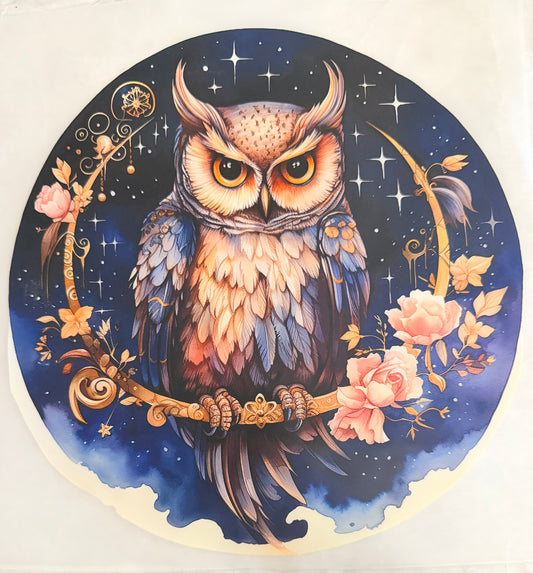Mystical owl