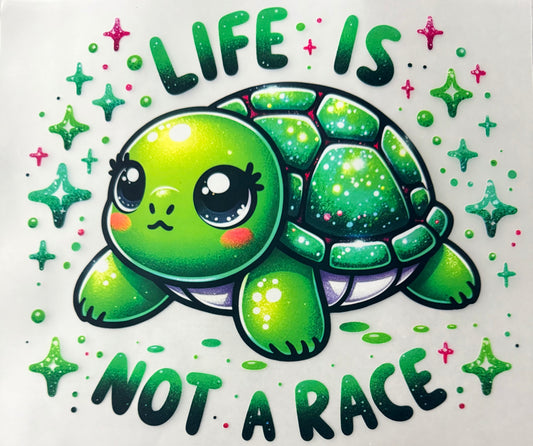 Life is not a race