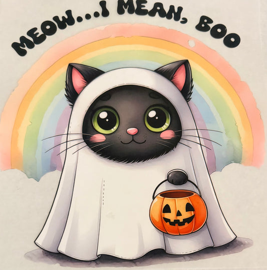 Meow.. boo