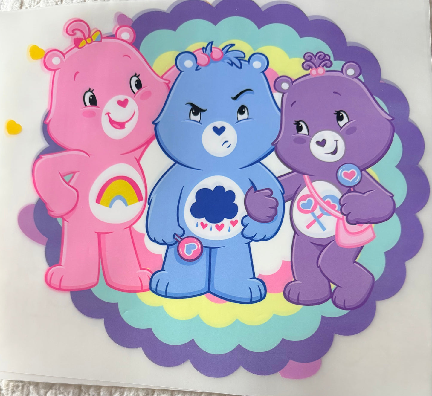 C bears