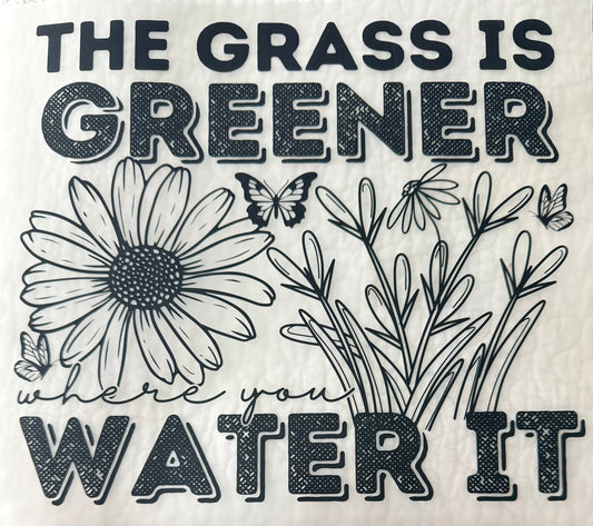 Grass is greener