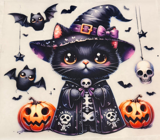 Witch cat