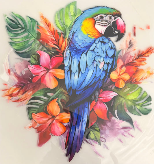 Tropical parrot