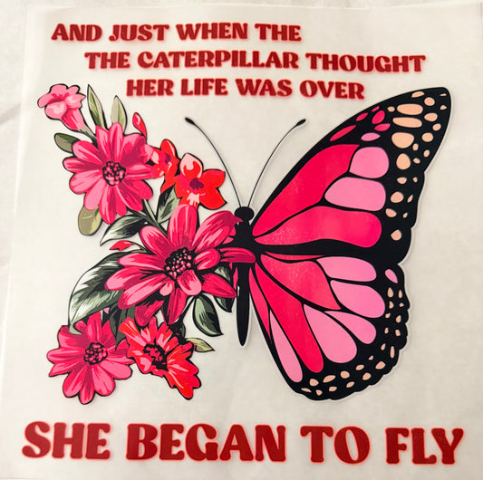She began to fly