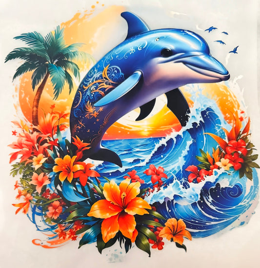 Summer dolphin