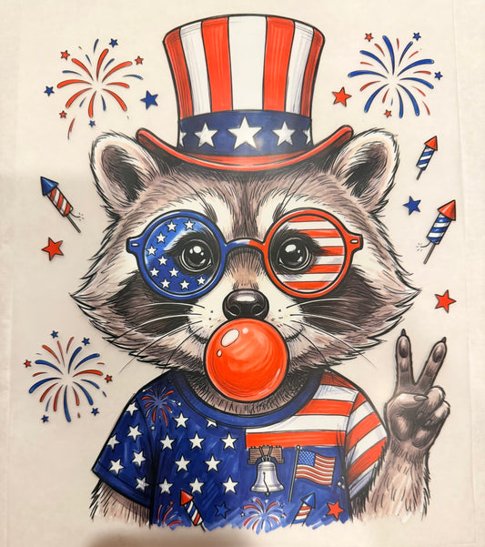 Patriotic raccoon