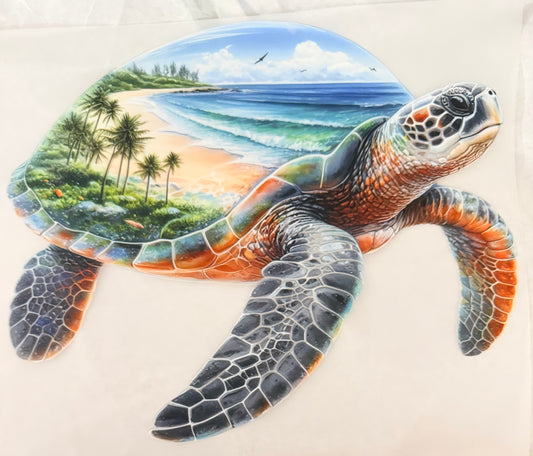 Beach shell turtle