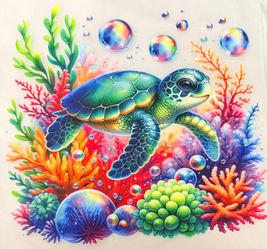 Coral turtle