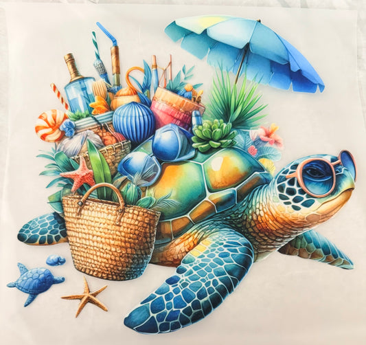 Beach items shell turtle